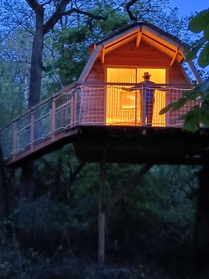 Chambres D'Hotes Au Chateau De Gizeux Kültér fotó